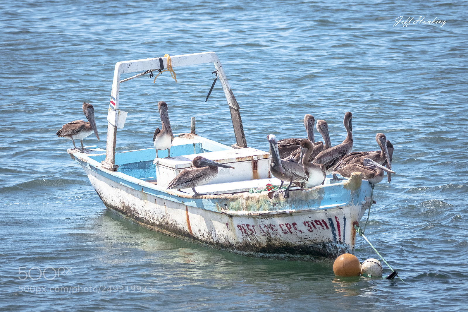 Canon EOS 7D Mark II sample photo. Motley crew photography
