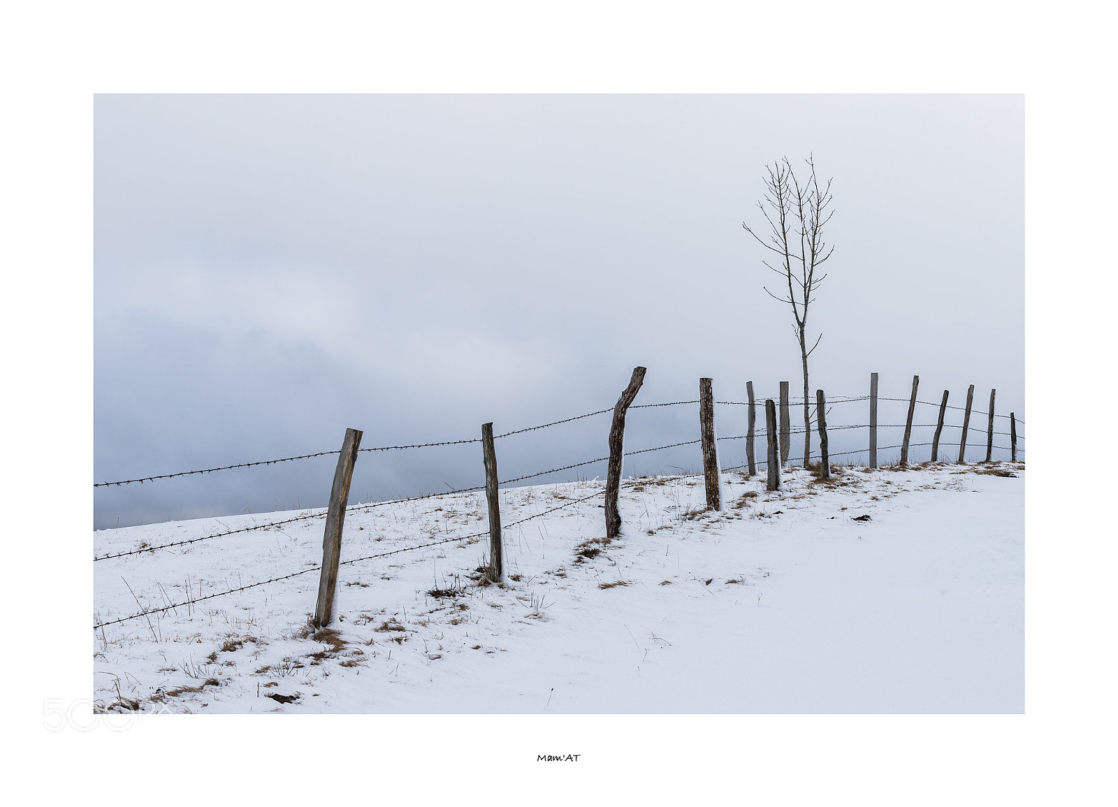 Canon EOS 6D Mark II sample photo. Fence and tree photography