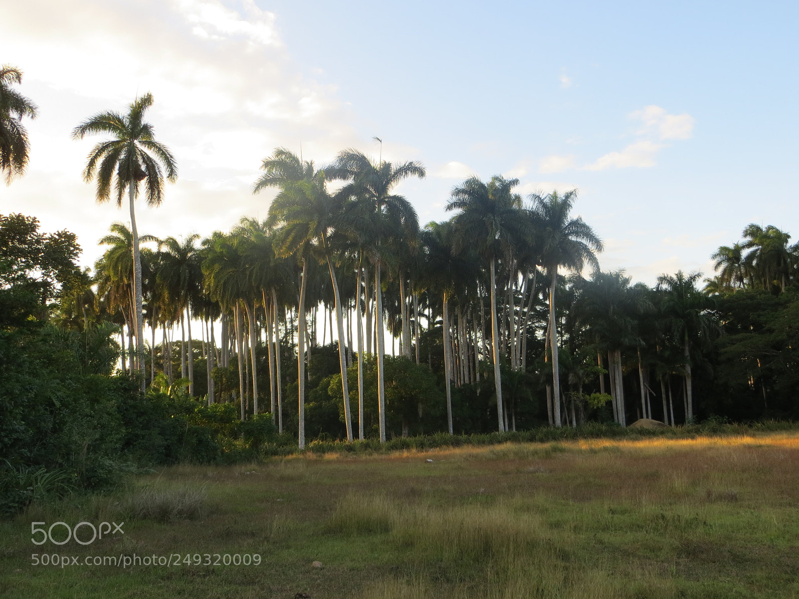 Canon PowerShot SX260 HS sample photo. Cuba photography