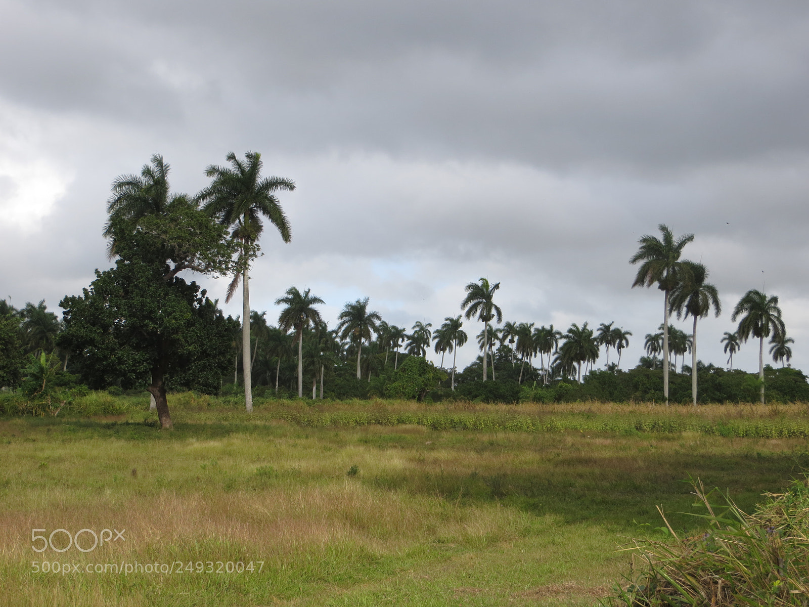 Canon PowerShot SX260 HS sample photo. Cuba photography