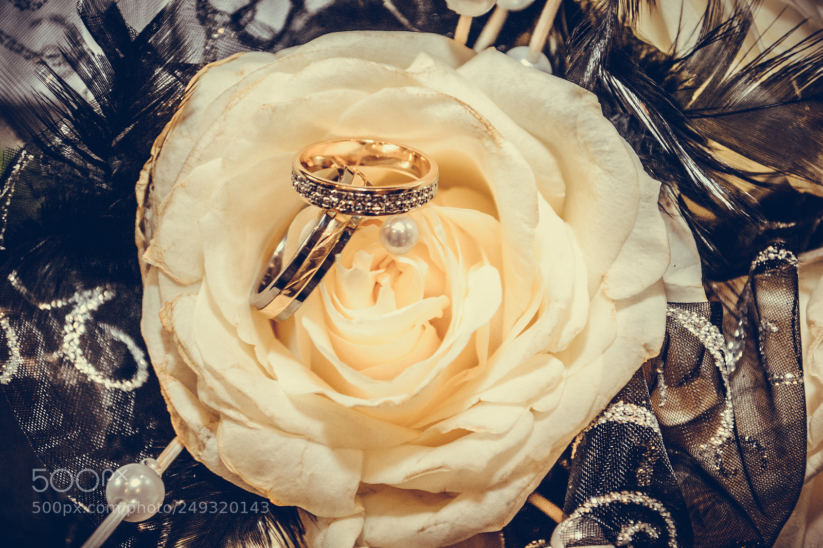 Nikon D3100 sample photo. Alliance photography