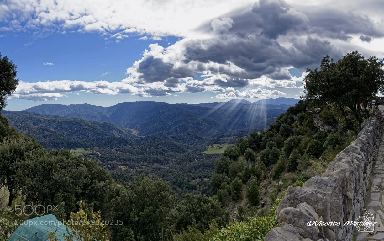 Nikon D7100 sample photo. Tavertet photography