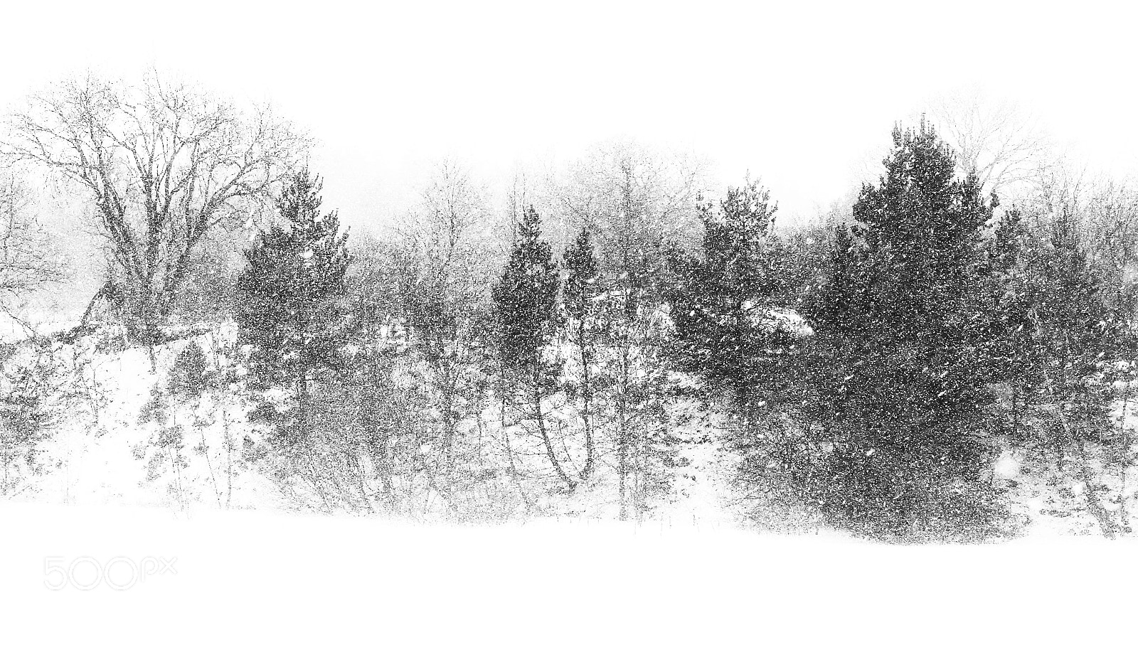 Canon EOS 7D sample photo. Winter photography