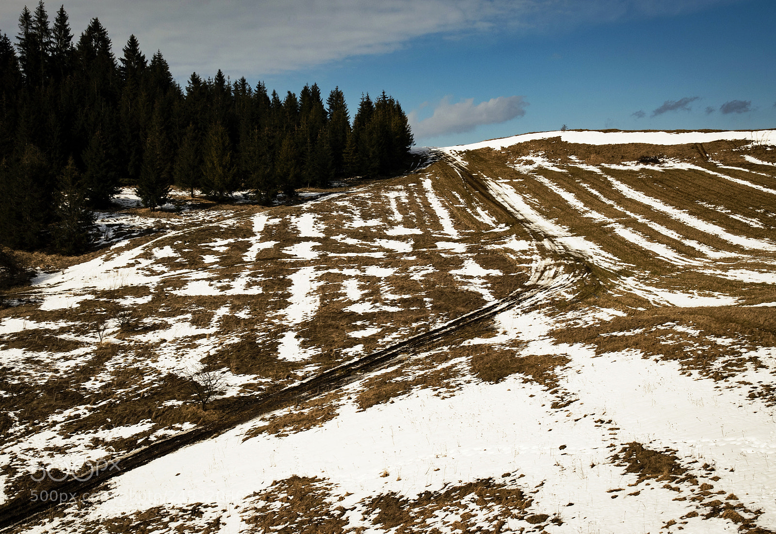 Nikon D5500 sample photo. Meadows with snow next photography
