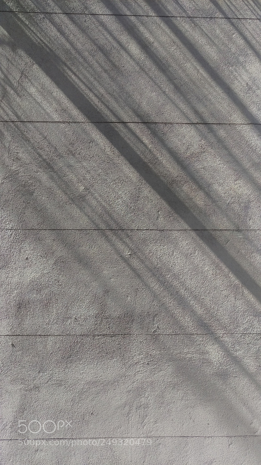 HTC ONE M9 sample photo. Reflection of a tree photography