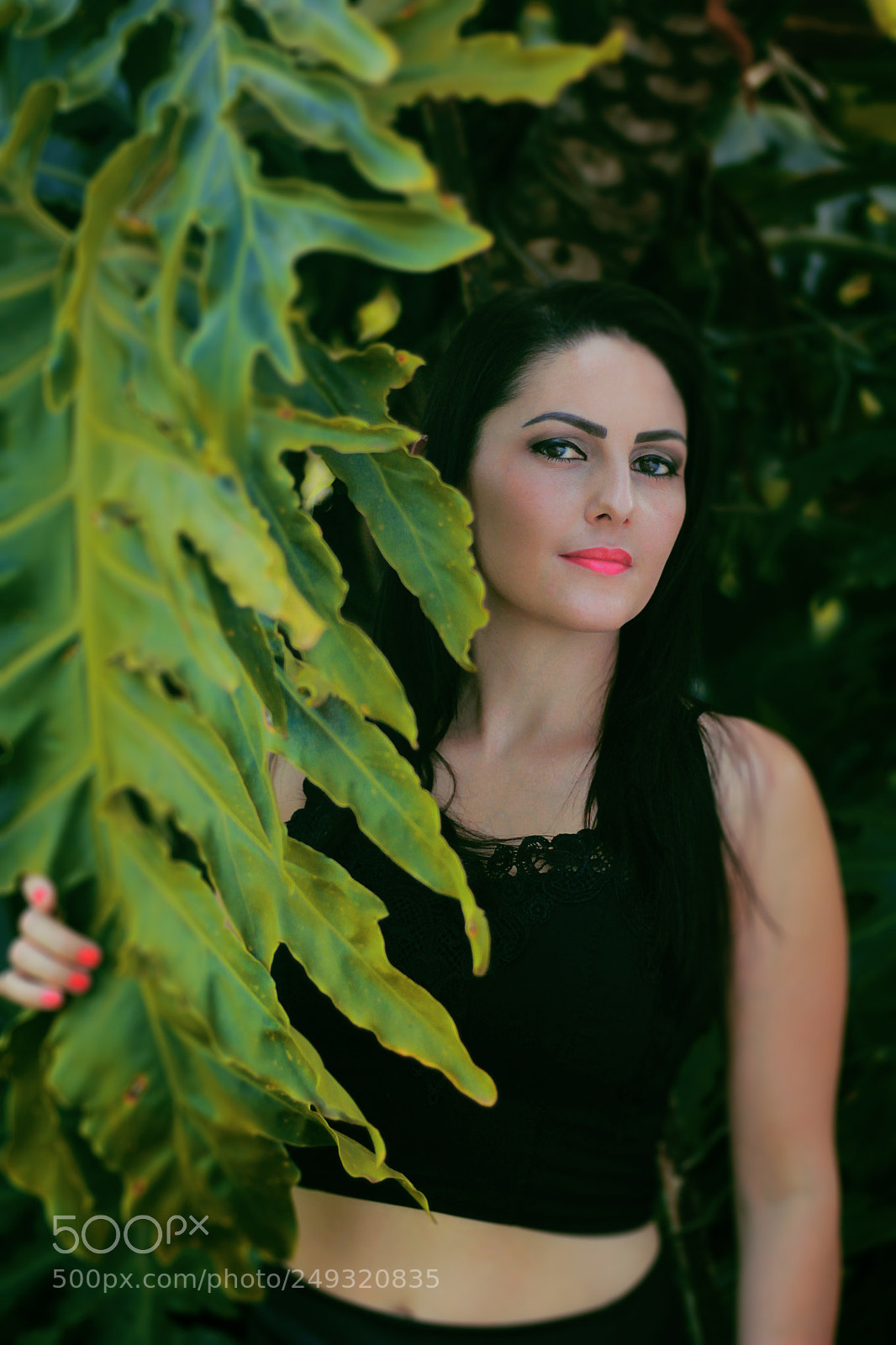 Canon EOS 60D sample photo. Desse país tropical... (: photography