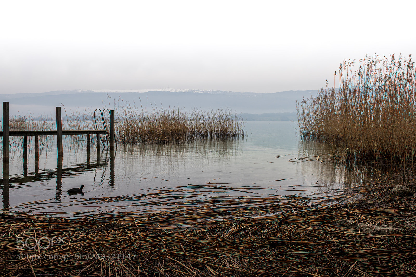 Nikon D810 sample photo. Lakeview photography