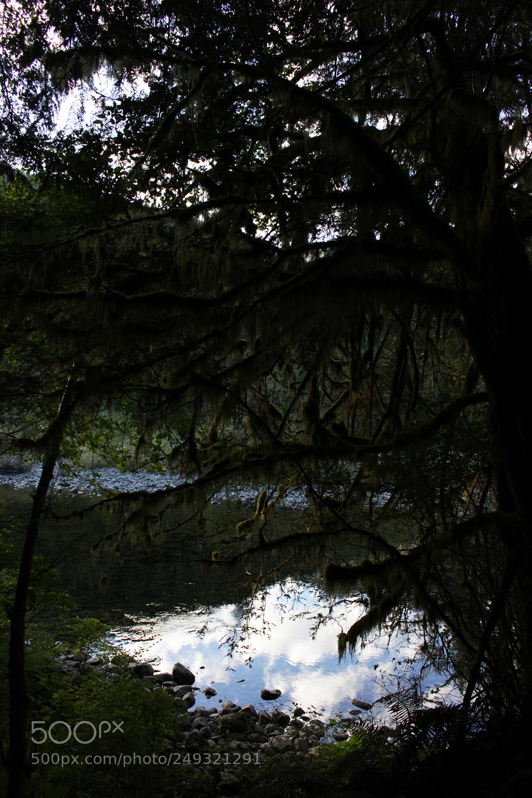 Canon EOS 100D (EOS Rebel SL1 / EOS Kiss X7) sample photo. The upside down the photography