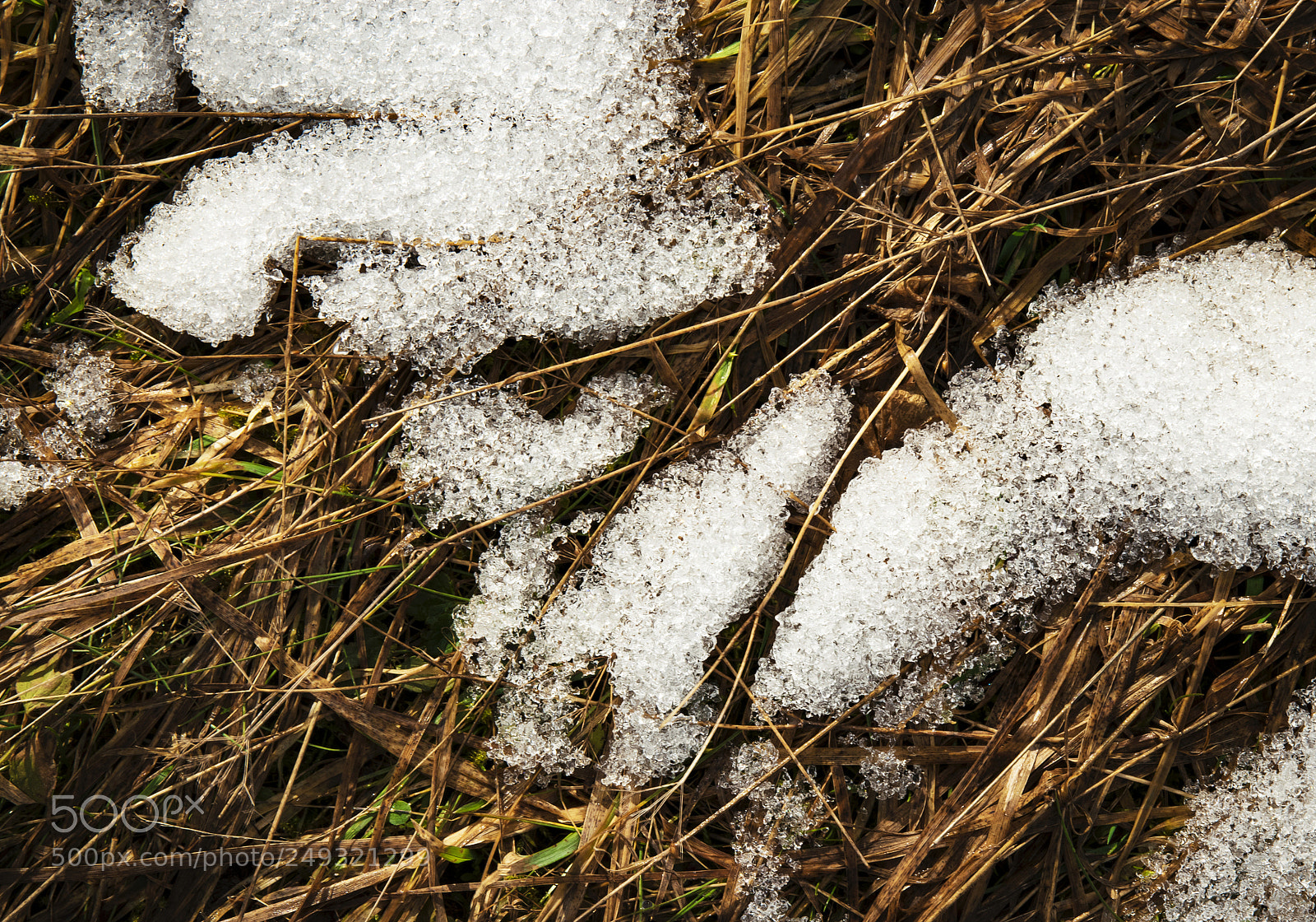Nikon D5500 sample photo. Snow on dry grass photography