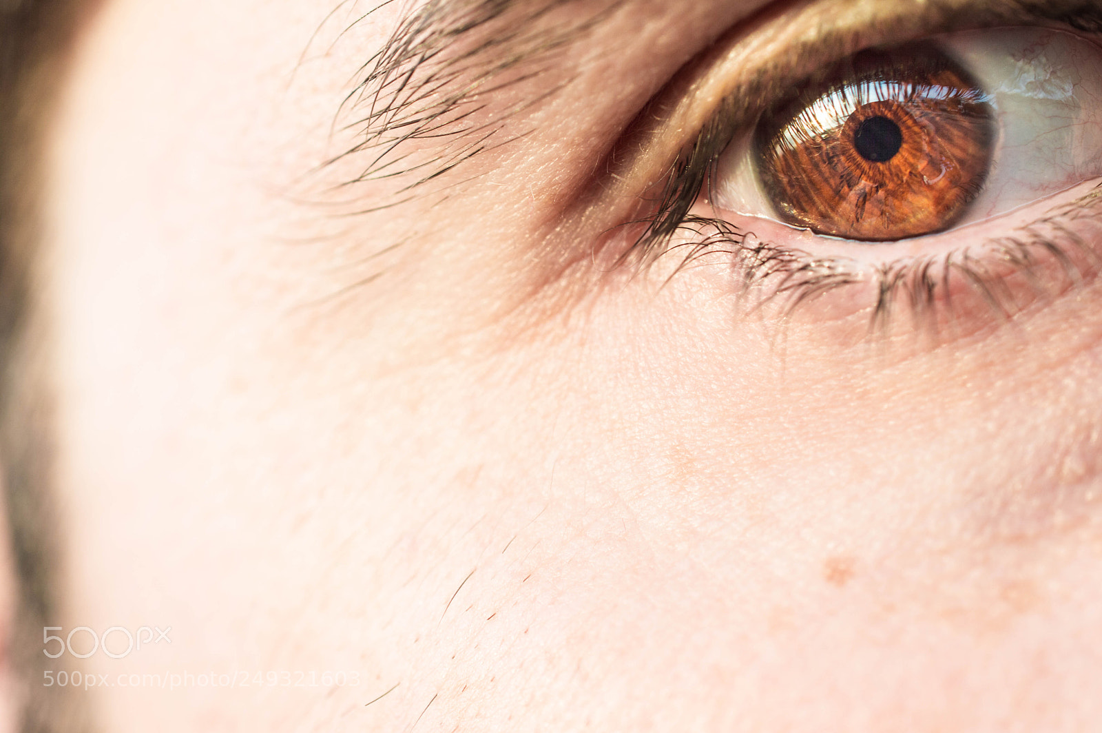 Nikon D3200 sample photo. My eyes is my photography
