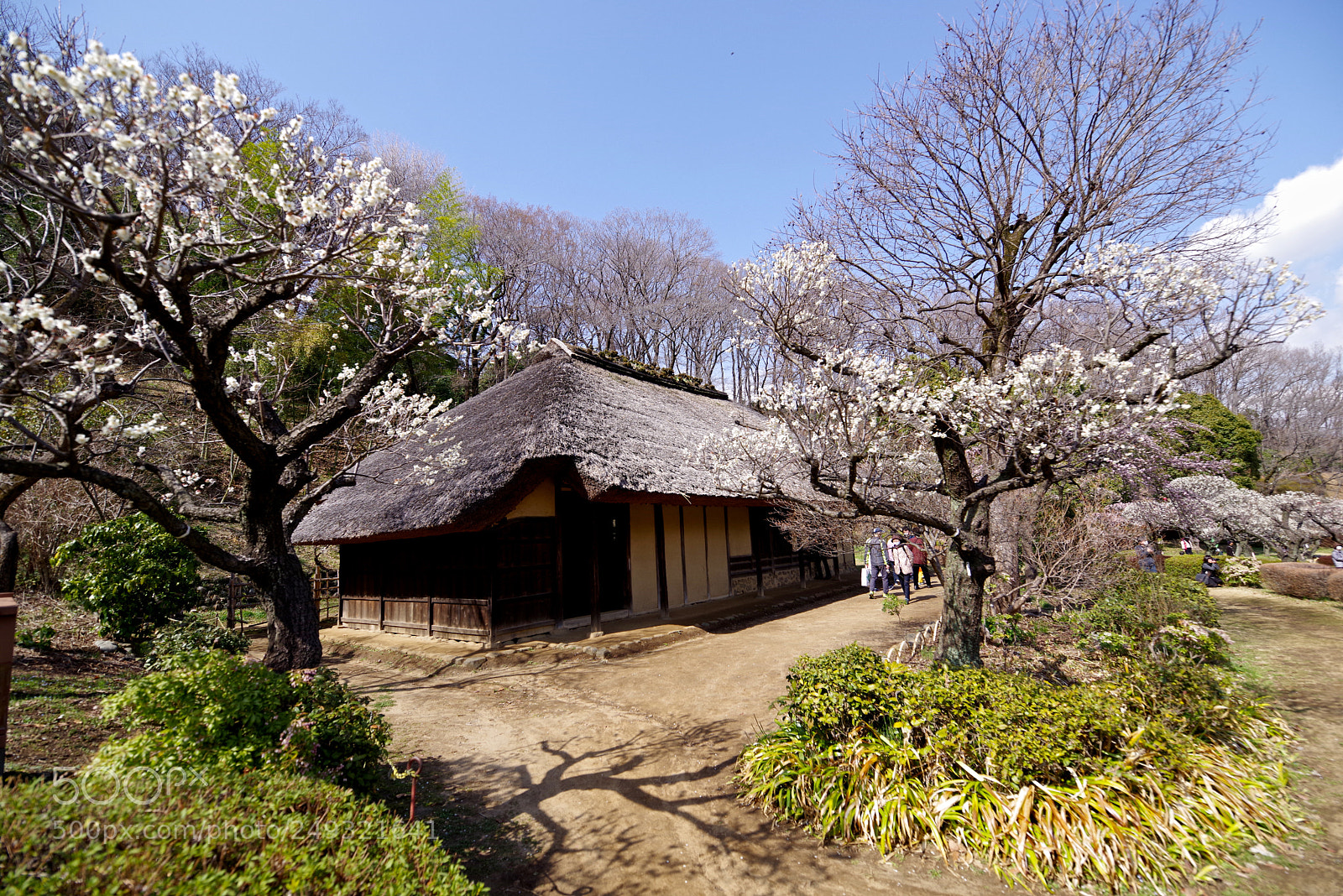 Pentax K-1 sample photo. Old spring photography