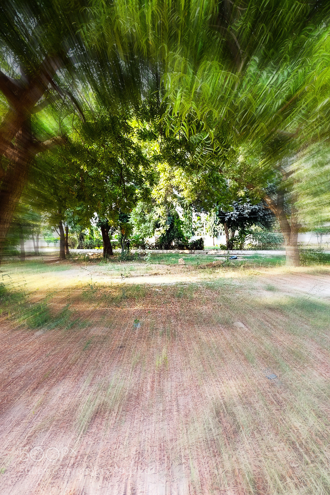 Fujifilm X-E2 sample photo. Fastmotion photography
