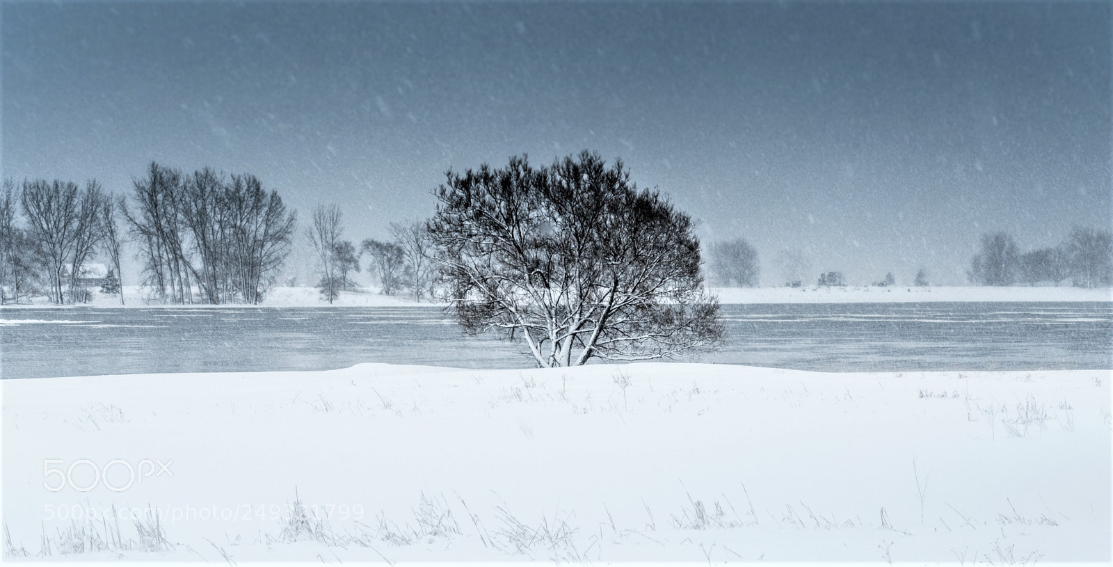 Olympus OM-D E-M5 II sample photo. Snowfall blues photography