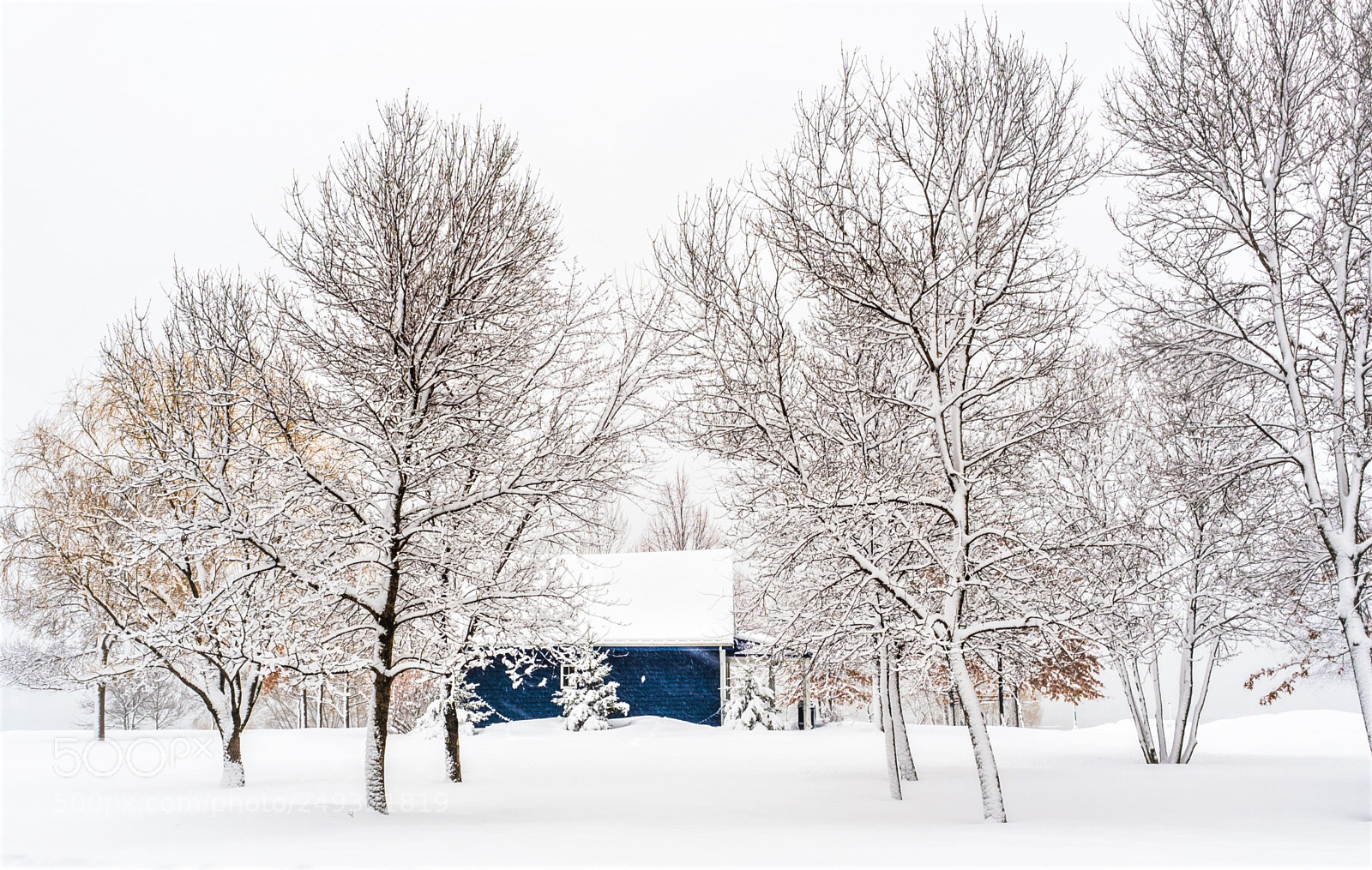 Olympus OM-D E-M5 II sample photo. Snowfall blues photography
