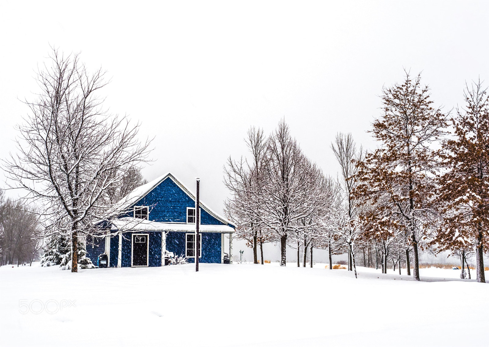Olympus OM-D E-M5 II sample photo. Snowfall blues photography