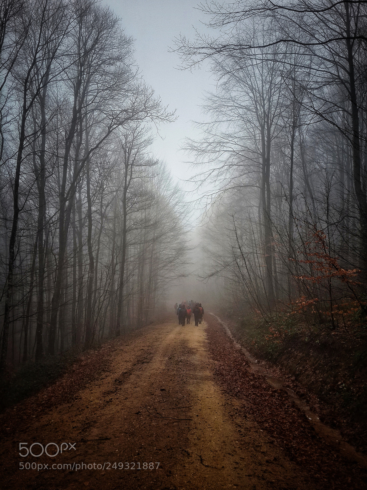 Samsung Galaxy S4 sample photo. Hiking photography