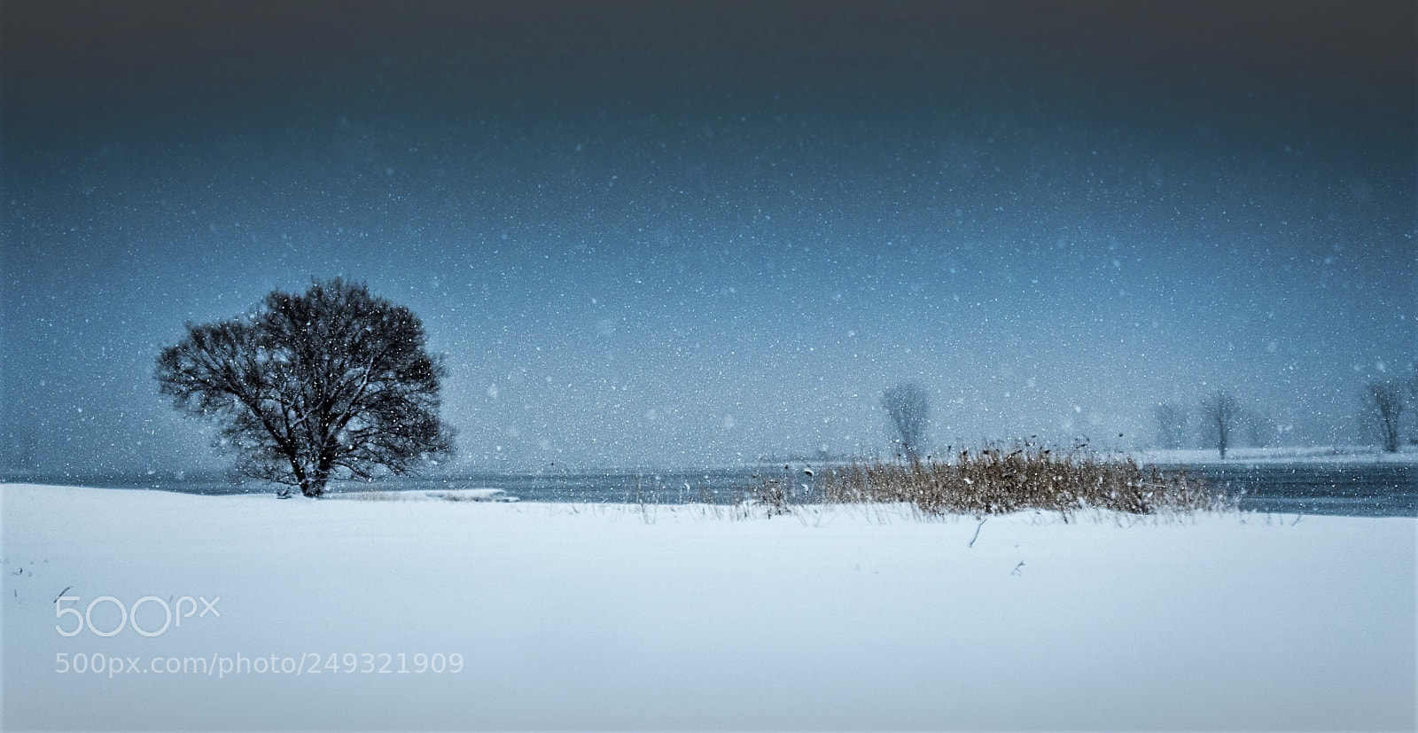 Olympus OM-D E-M5 II sample photo. Snowfall blues photography