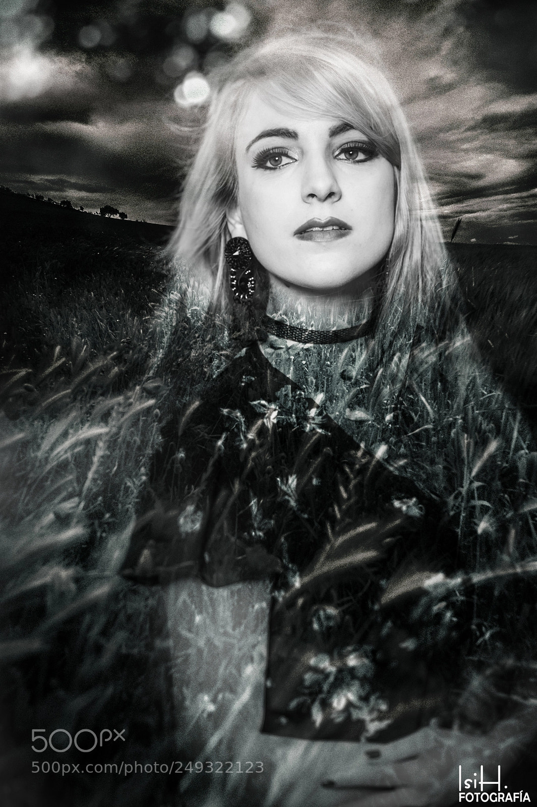 Nikon D700 sample photo. Staring at the wind photography