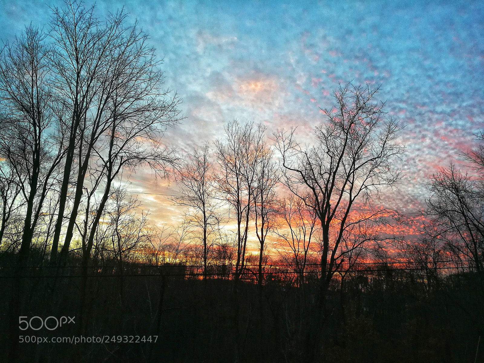 HUAWEI P10 sample photo. Winter sunset photography