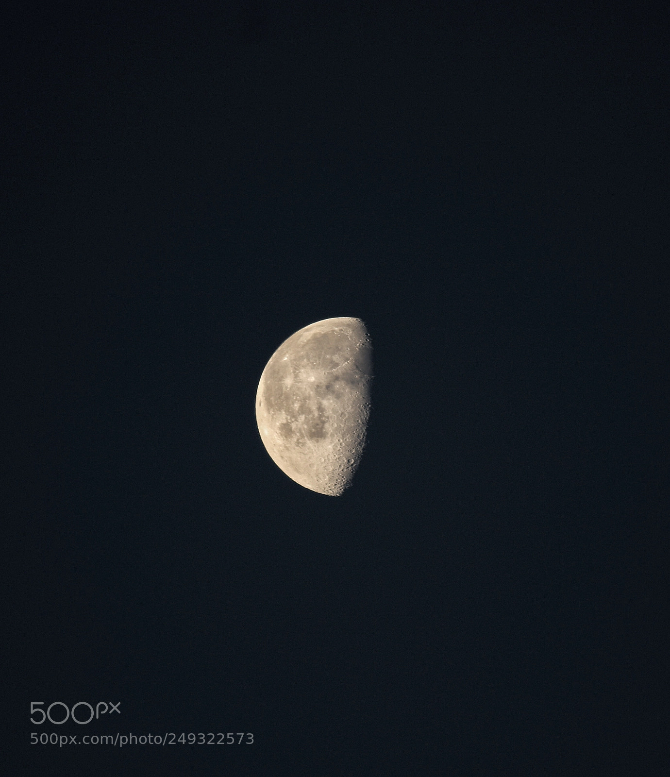 Canon EOS 7D Mark II sample photo. Untitled photography
