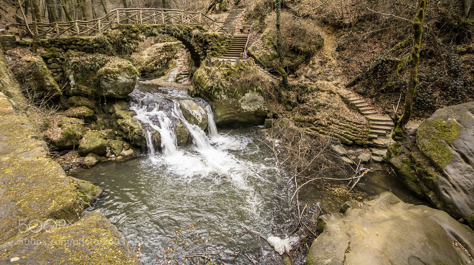 Canon EOS 750D (EOS Rebel T6i / EOS Kiss X8i) sample photo. Chutte photography