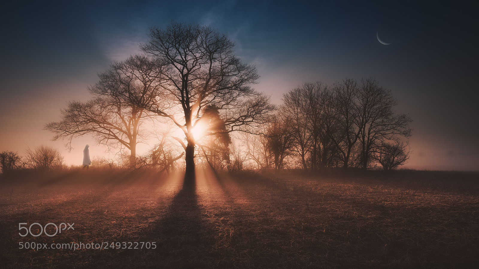 Nikon D810 sample photo. Lost in fog photography