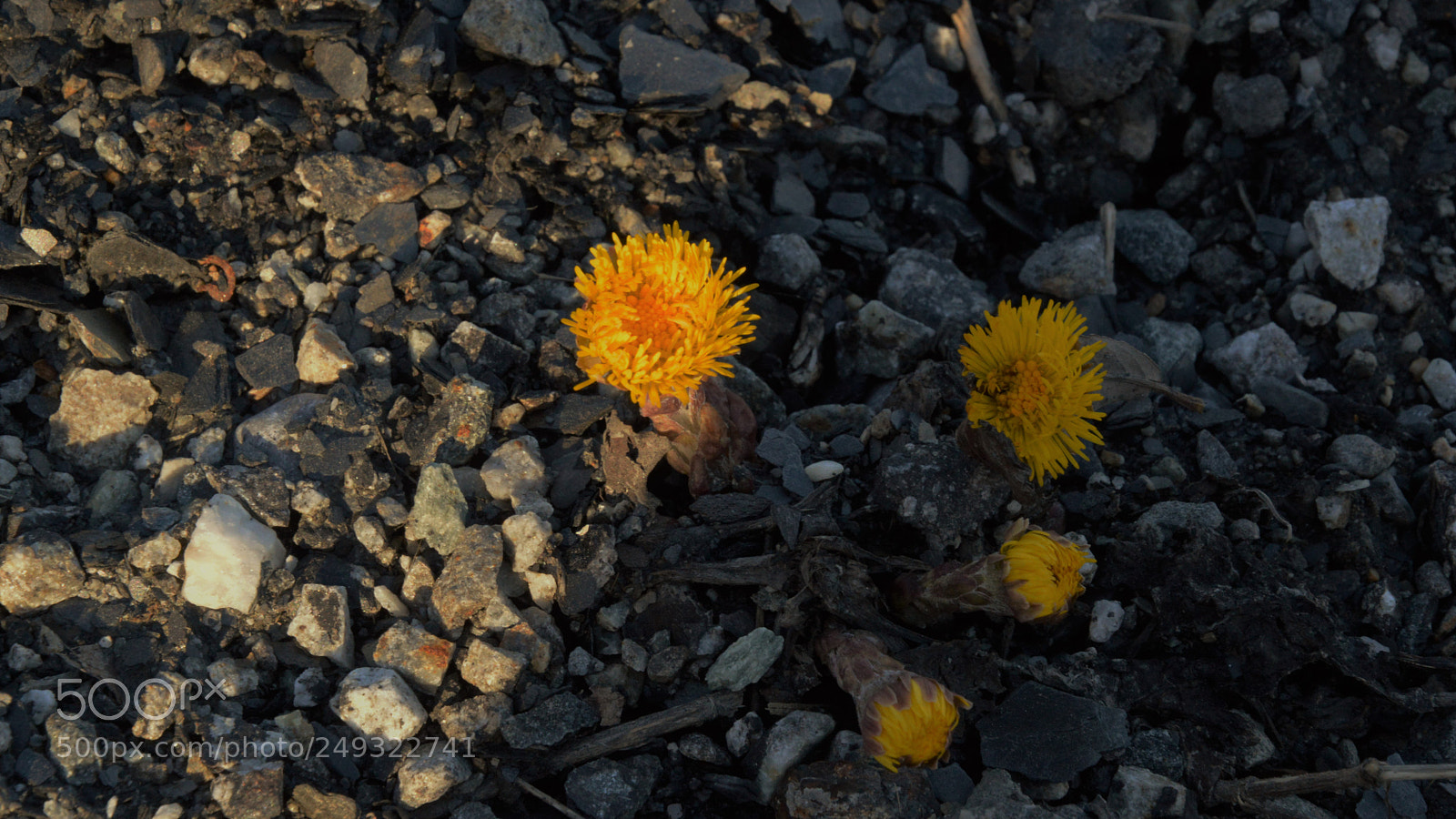 Nikon D3200 sample photo. Untitled photography