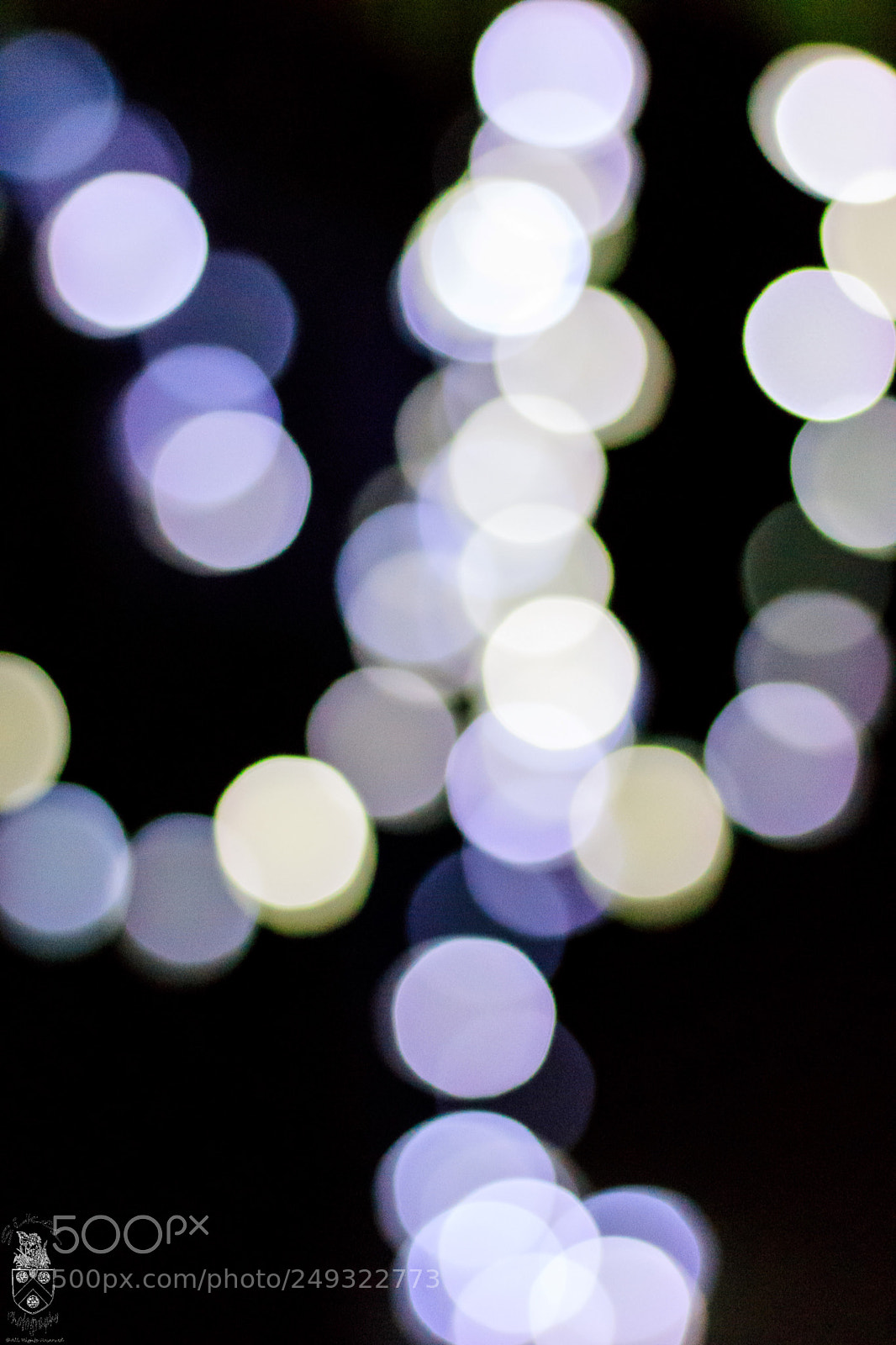 Canon EOS 800D (EOS Rebel T7i / EOS Kiss X9i) sample photo. Morning bokeh photography