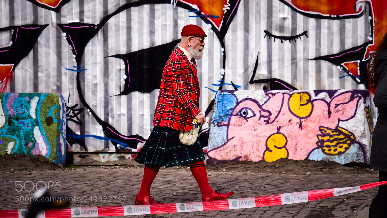 Nikon D3300 sample photo. A typical dutch scottsman photography