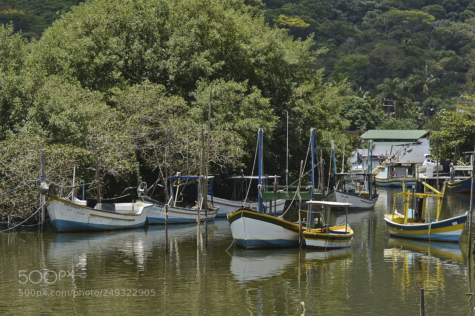 Nikon D7100 sample photo. Vida boa e simples. photography