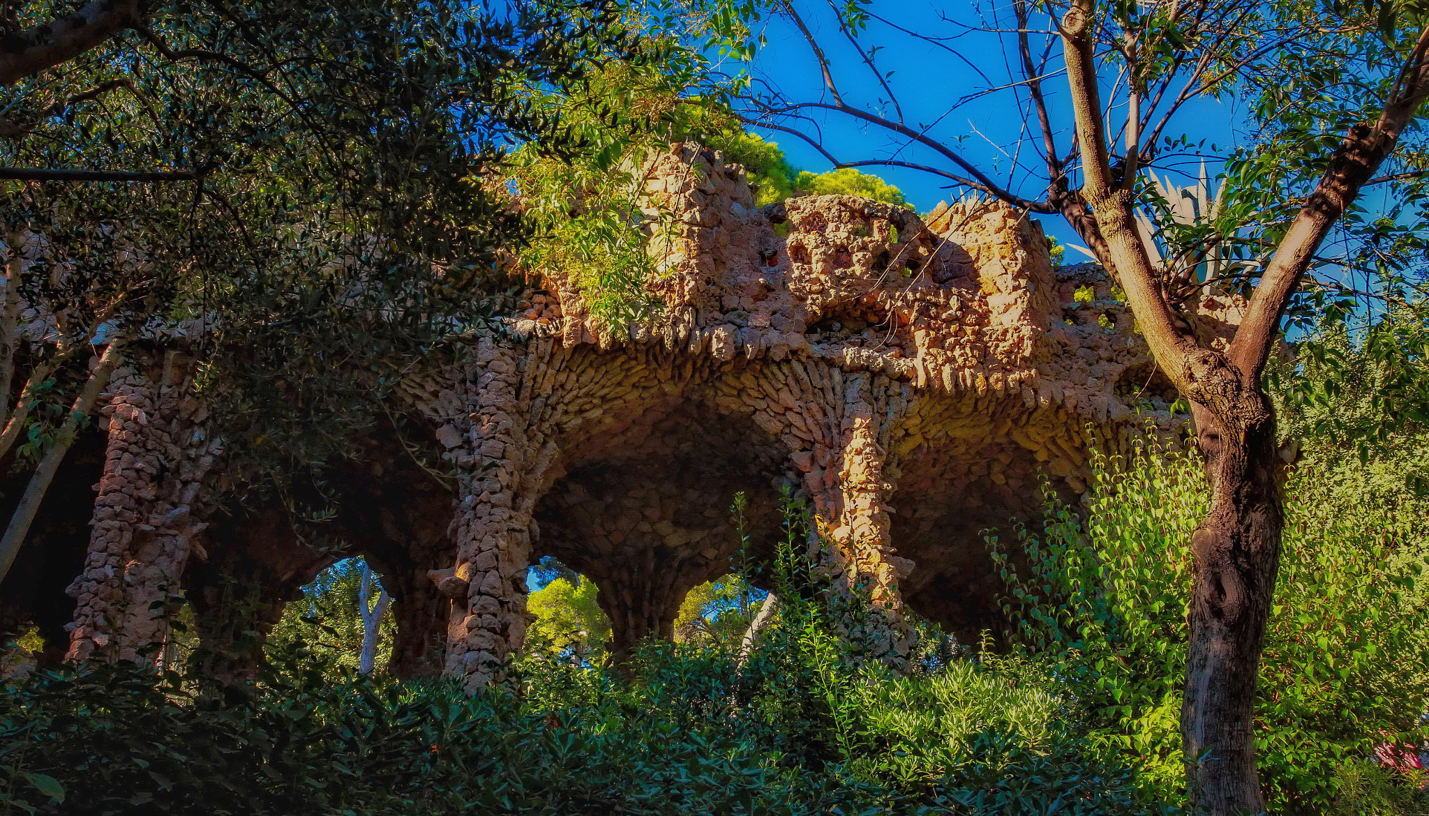 Canon EOS sample photo. Gaudi lines photography