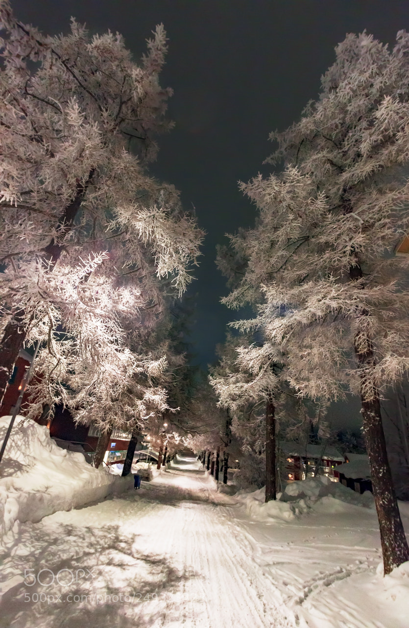 Canon EOS 600D (Rebel EOS T3i / EOS Kiss X5) sample photo. Winter in the swedish photography
