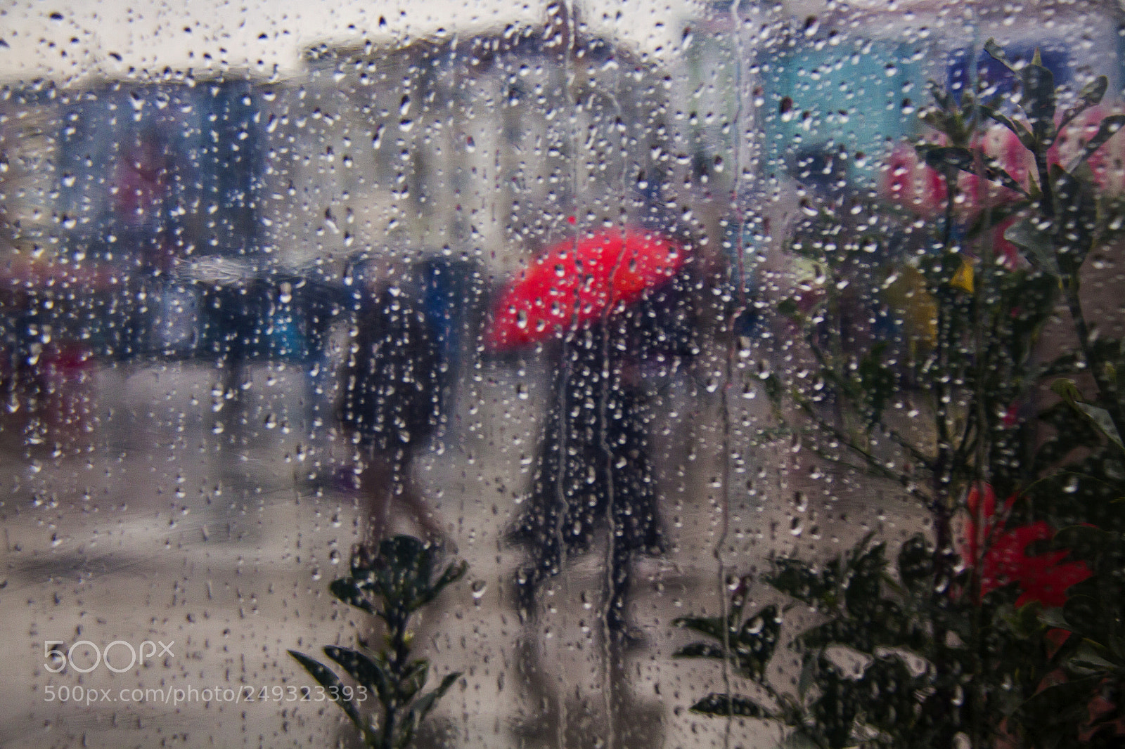 Canon EOS 50D sample photo. Rain photography