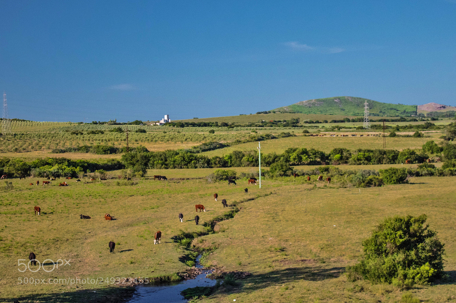 Canon EOS 1300D (EOS Rebel T6 / EOS Kiss X80) sample photo. Country view photography