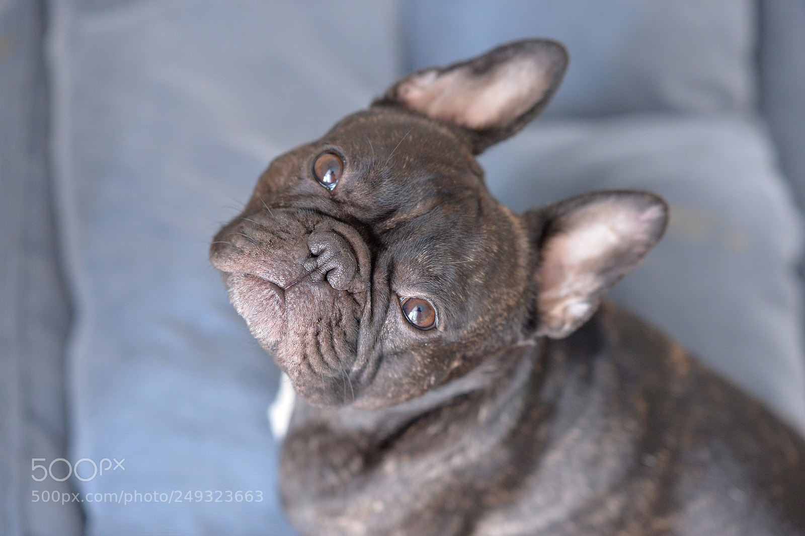 Nikon Df sample photo. Vilda photography
