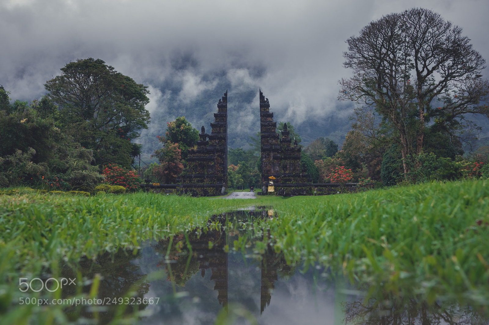 Canon EOS 5D Mark IV sample photo. In bali everything.all are photography