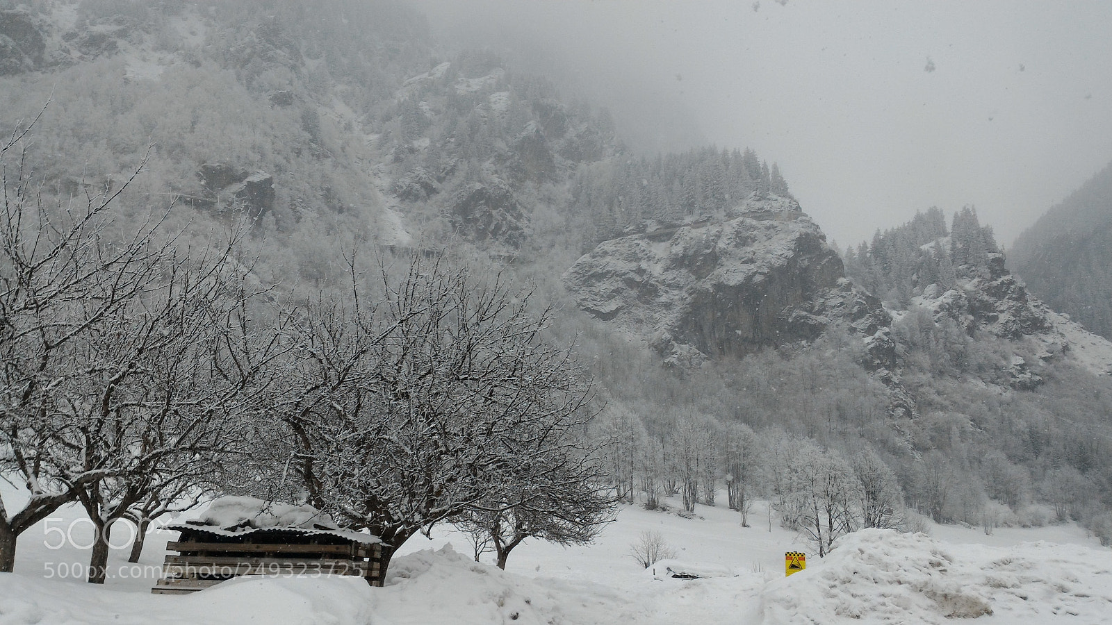 ASUS ZenFone 2 (ZE551ML) sample photo. Winter is coming photography