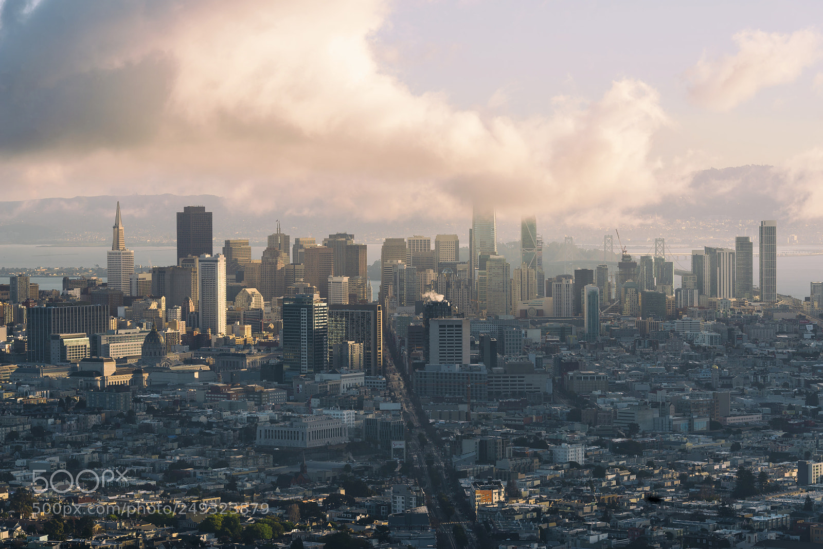 Nikon D610 sample photo. San francisco photography