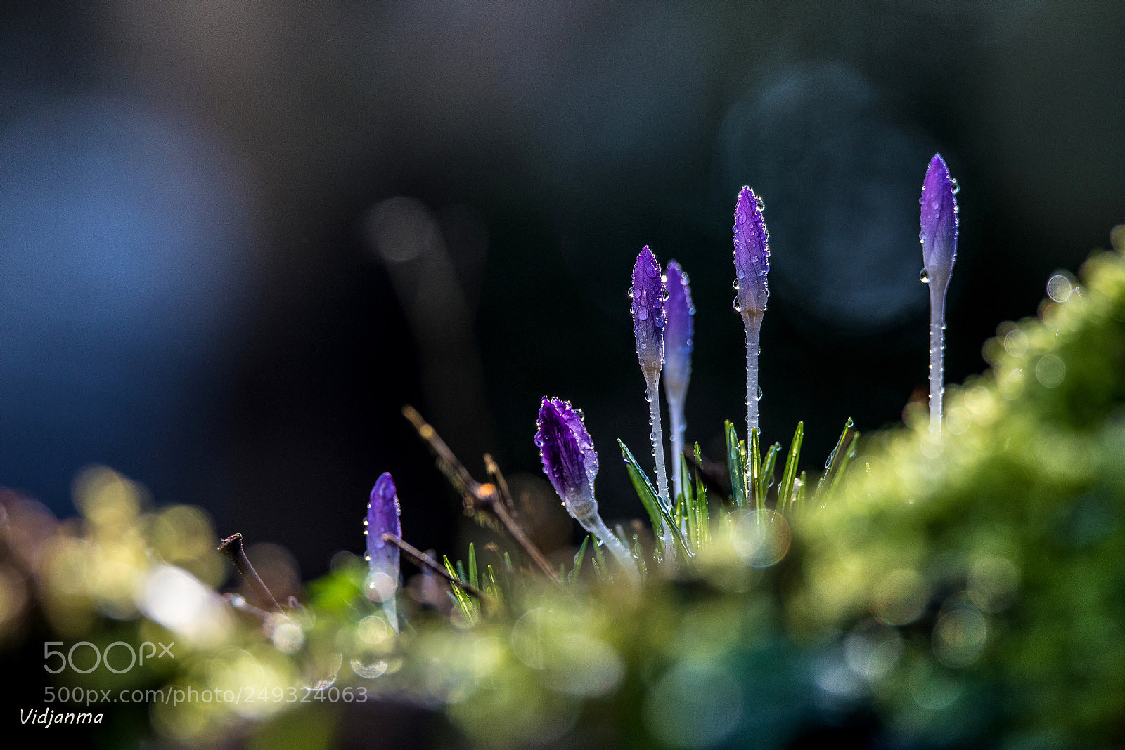 Nikon D610 sample photo. When the light photography
