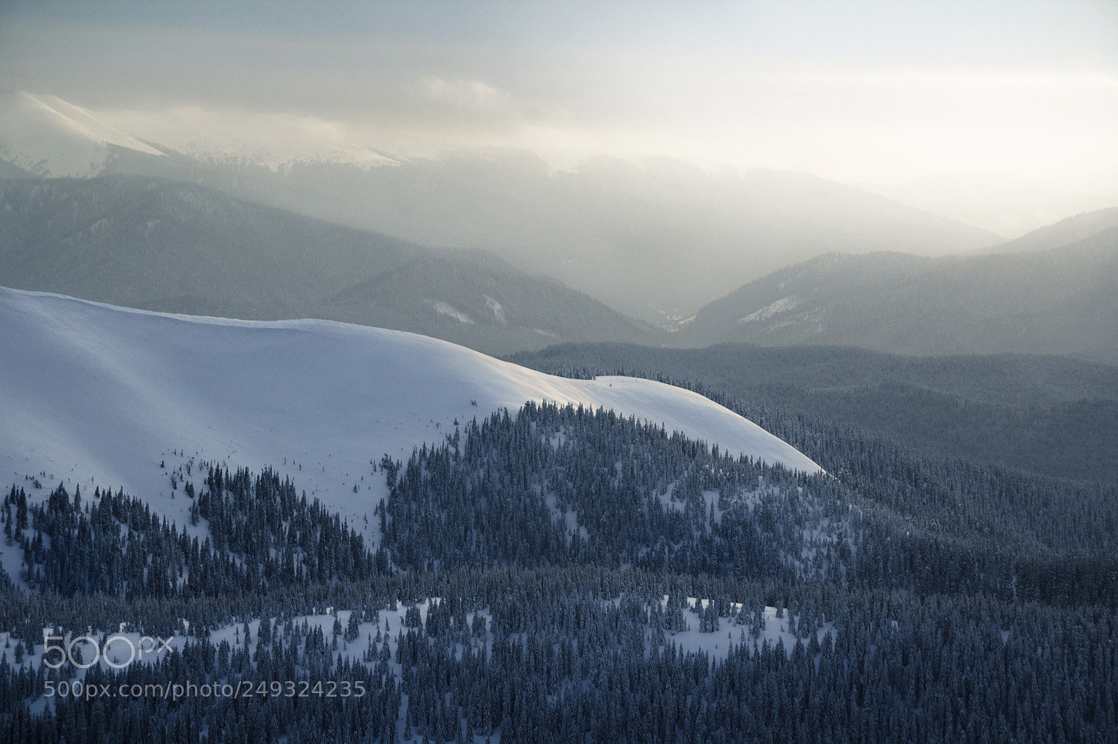 Canon EOS 60D sample photo. They say winter is photography