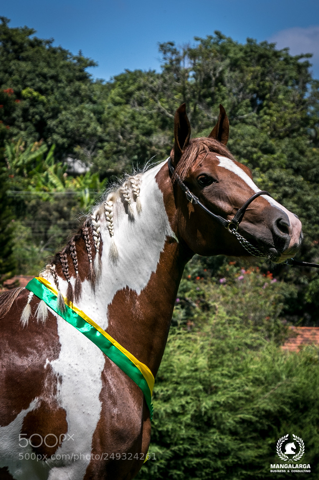 Canon EOS 80D sample photo. Genovesa do pec photography