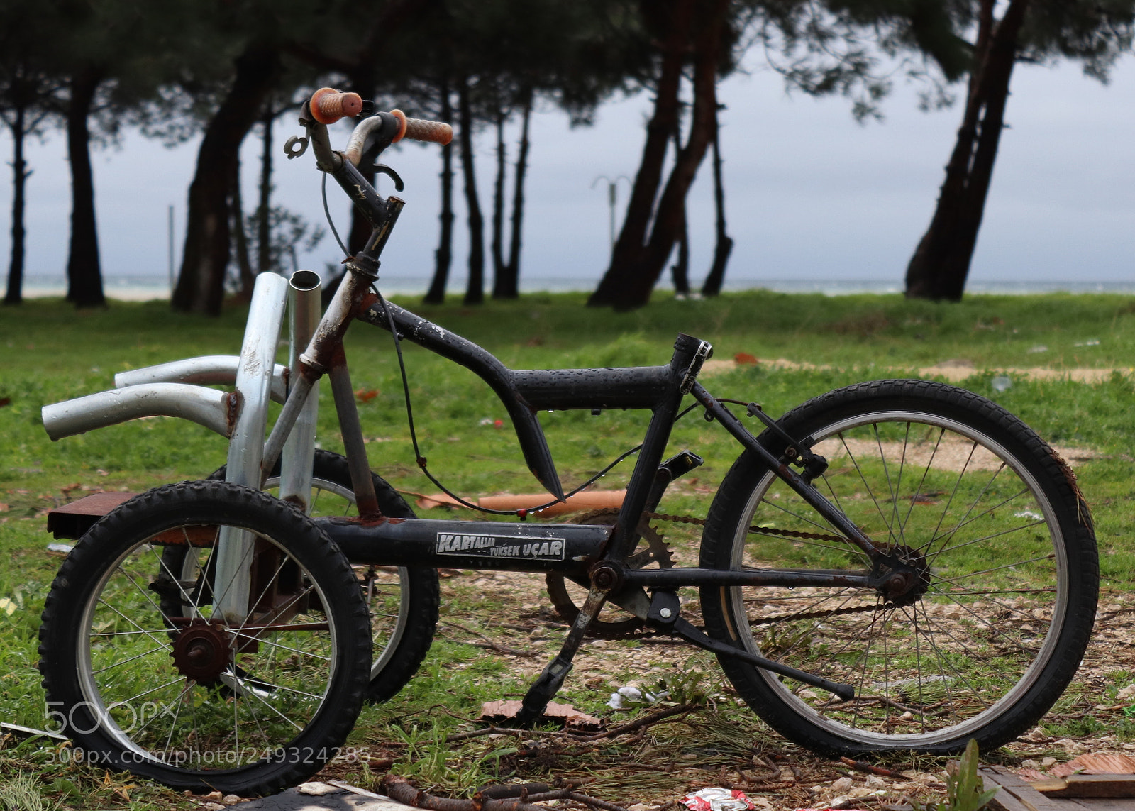 Canon EOS 200D (EOS Rebel SL2 / EOS Kiss X9) sample photo. Dalyan photography