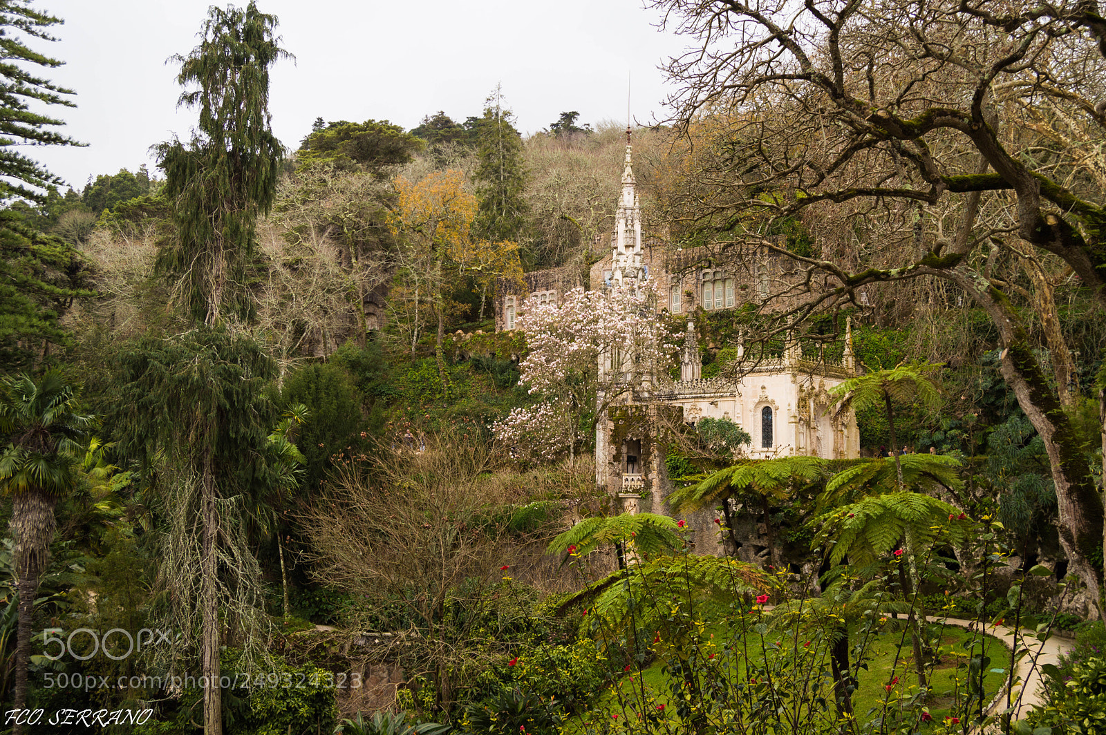 Nikon D3200 sample photo. Sintra febrero photography
