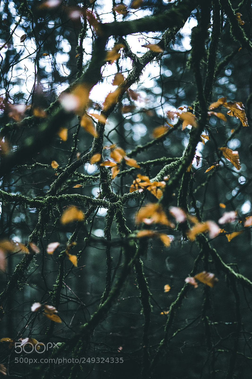 Sony a7 II sample photo. People photography