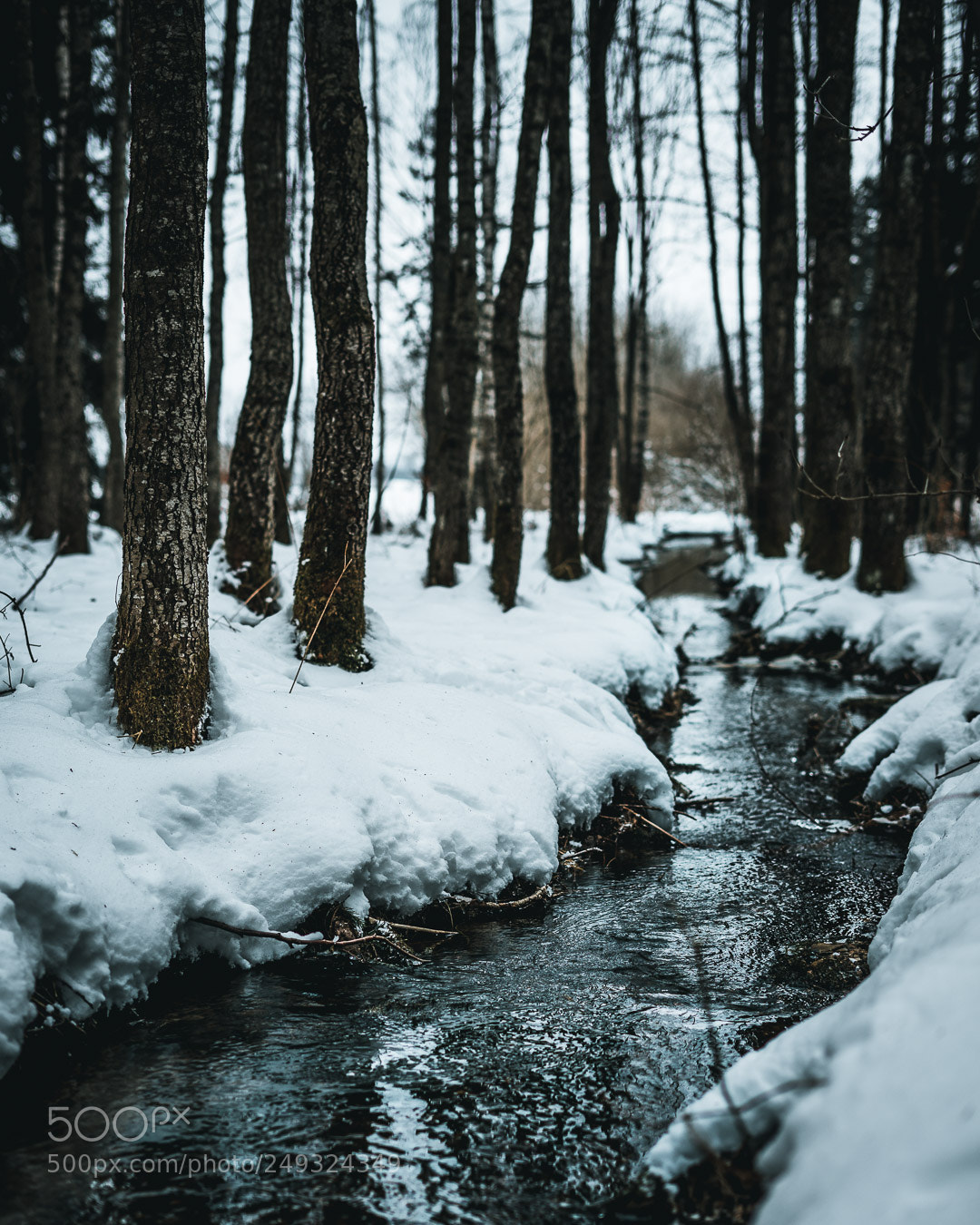Sony a7 II sample photo. People photography