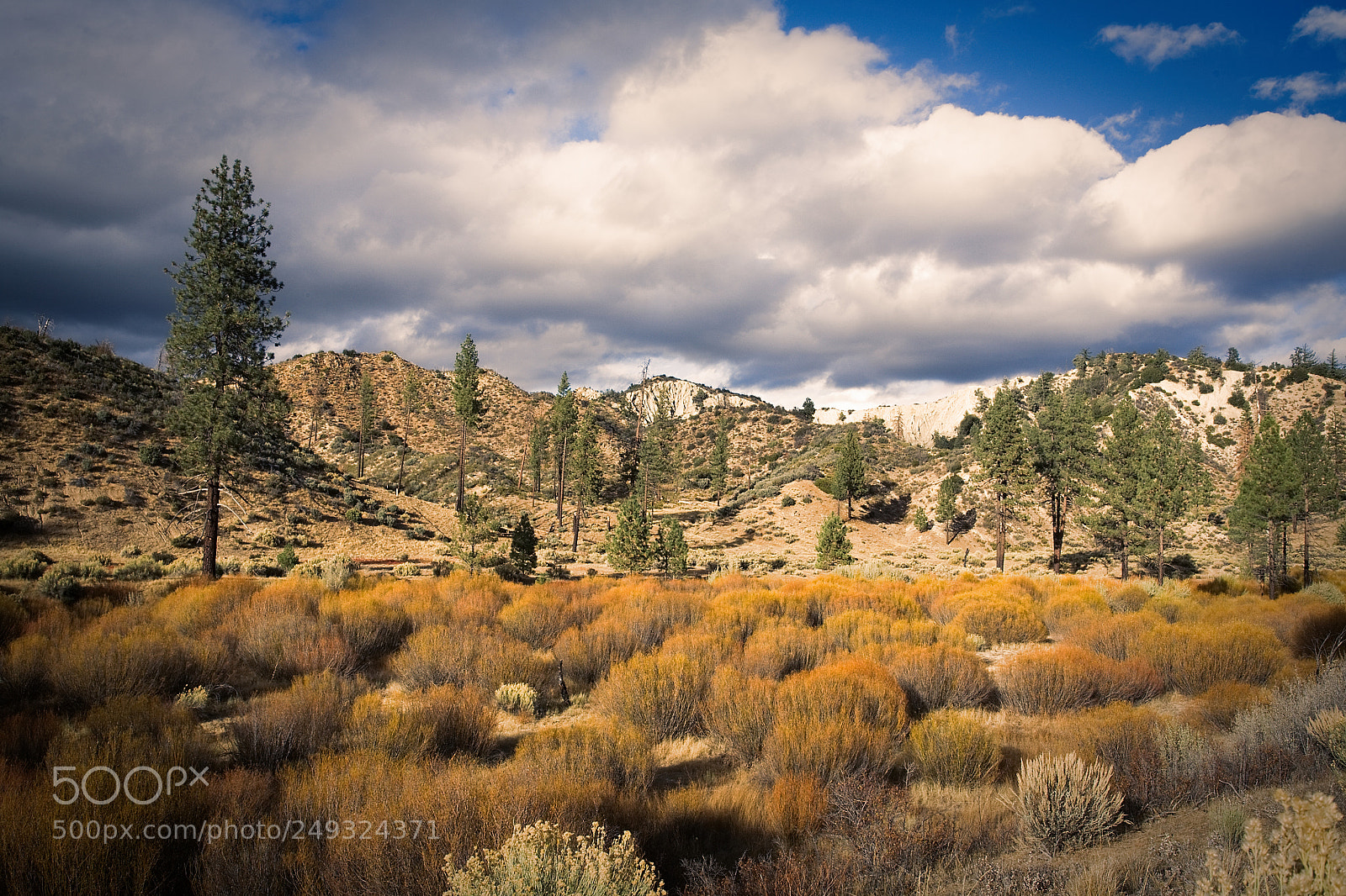 Canon EOS 5D sample photo. Sespe afternoon photography