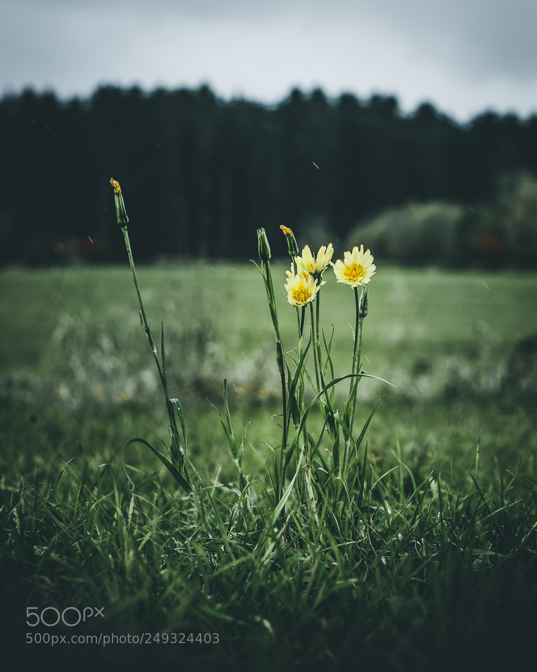 Sony a5100 sample photo. People photography