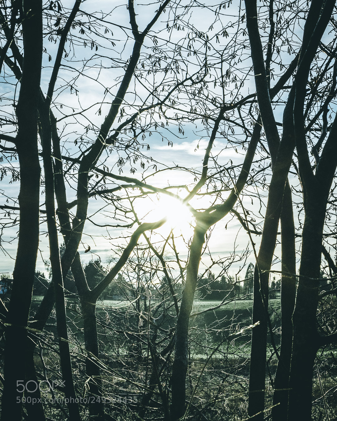 Sony a7 II sample photo. People photography