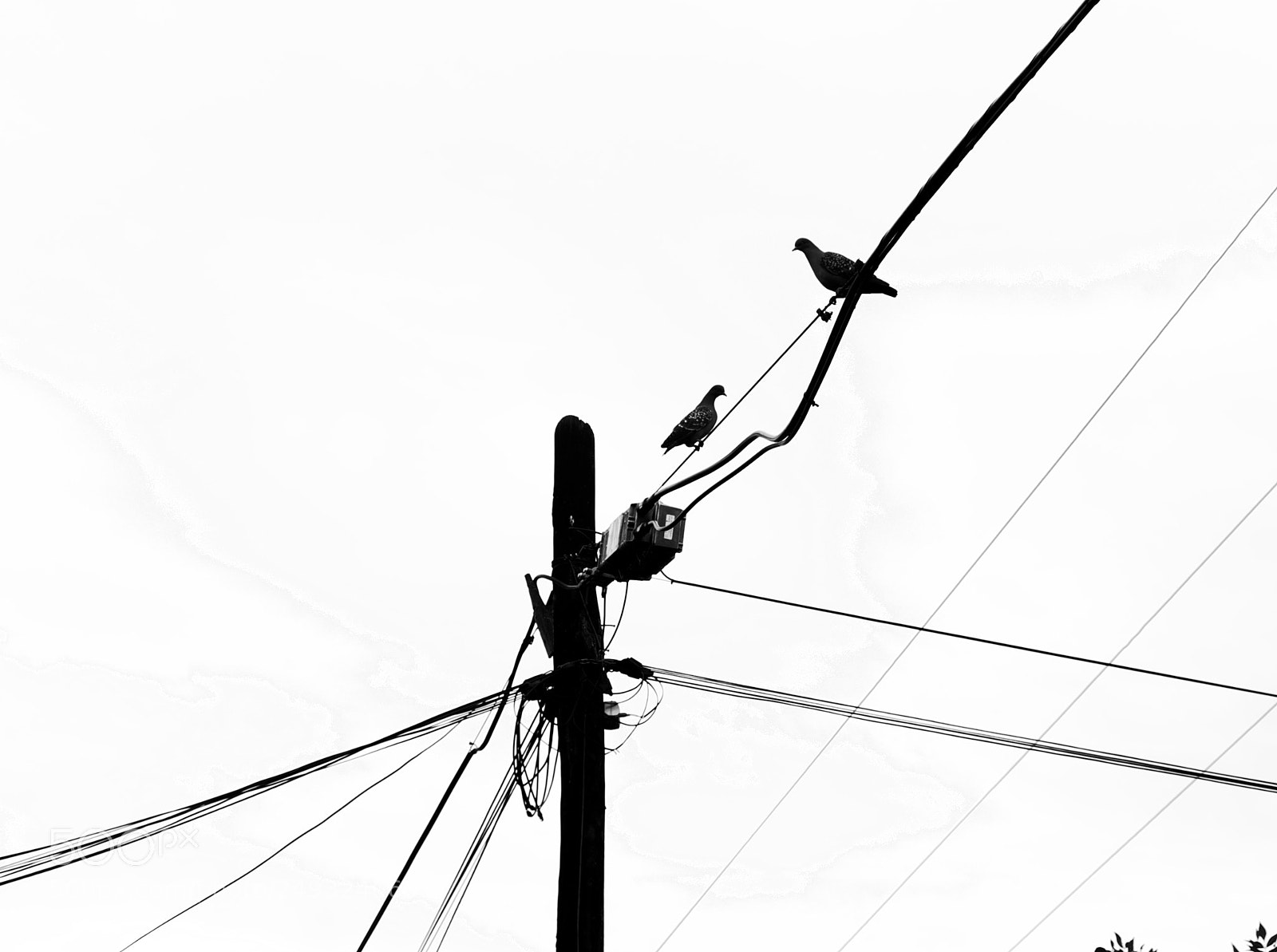 Fujifilm X-E2 sample photo. Untitled photography