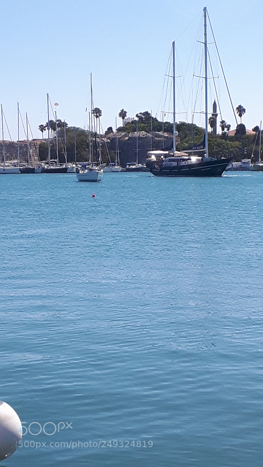 Samsung Galaxy S5 Neo sample photo. 20170902_113428.jpg photography